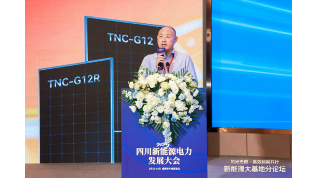 Cao Yu hosting the 2025 Sichuan clean-energy base forum